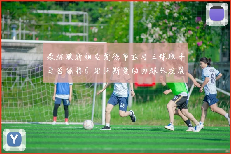 森林狼新组合爱德华兹与三球联手是否能再引进怀斯曼助力球队发展